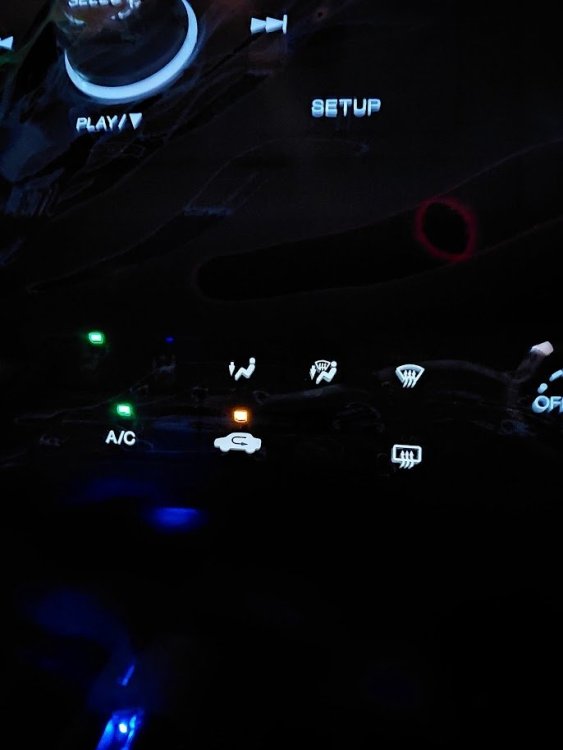 20231115_181203.jpg